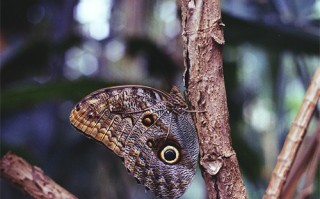 错爱一生2剧情介绍（错爱一生剧情介绍全28集）