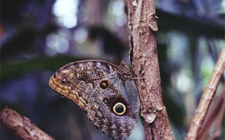 《流水迢迢》-全集百度云高清网盘【资源分享】