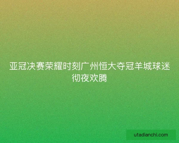 亚冠决赛荣耀时刻广州恒大夺冠羊城球迷彻夜欢腾