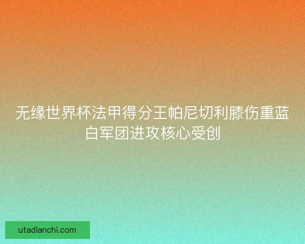 无缘世界杯法甲得分王帕尼切利膝伤重蓝白军团进攻核心受创