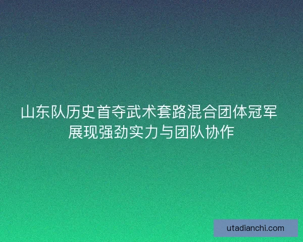 山东队历史首夺武术套路混合团体冠军 展现强劲实力与团队协作